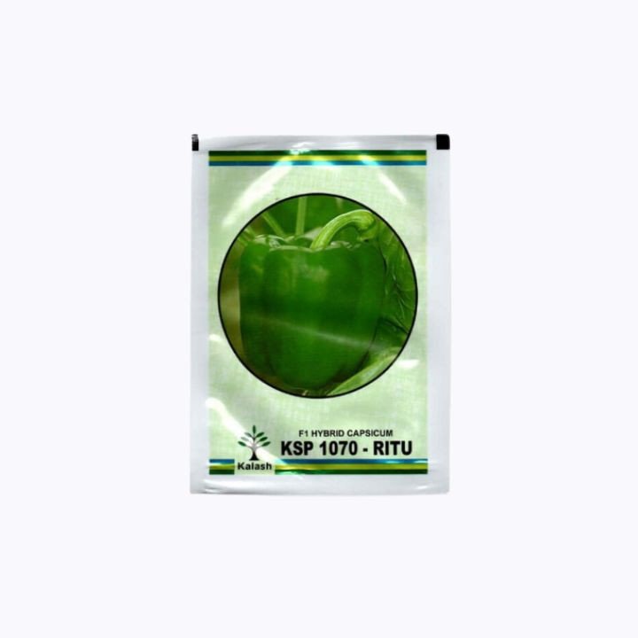 Kalash KSP 1070–Ritu F1 Hybrid Capsicum Seeds
